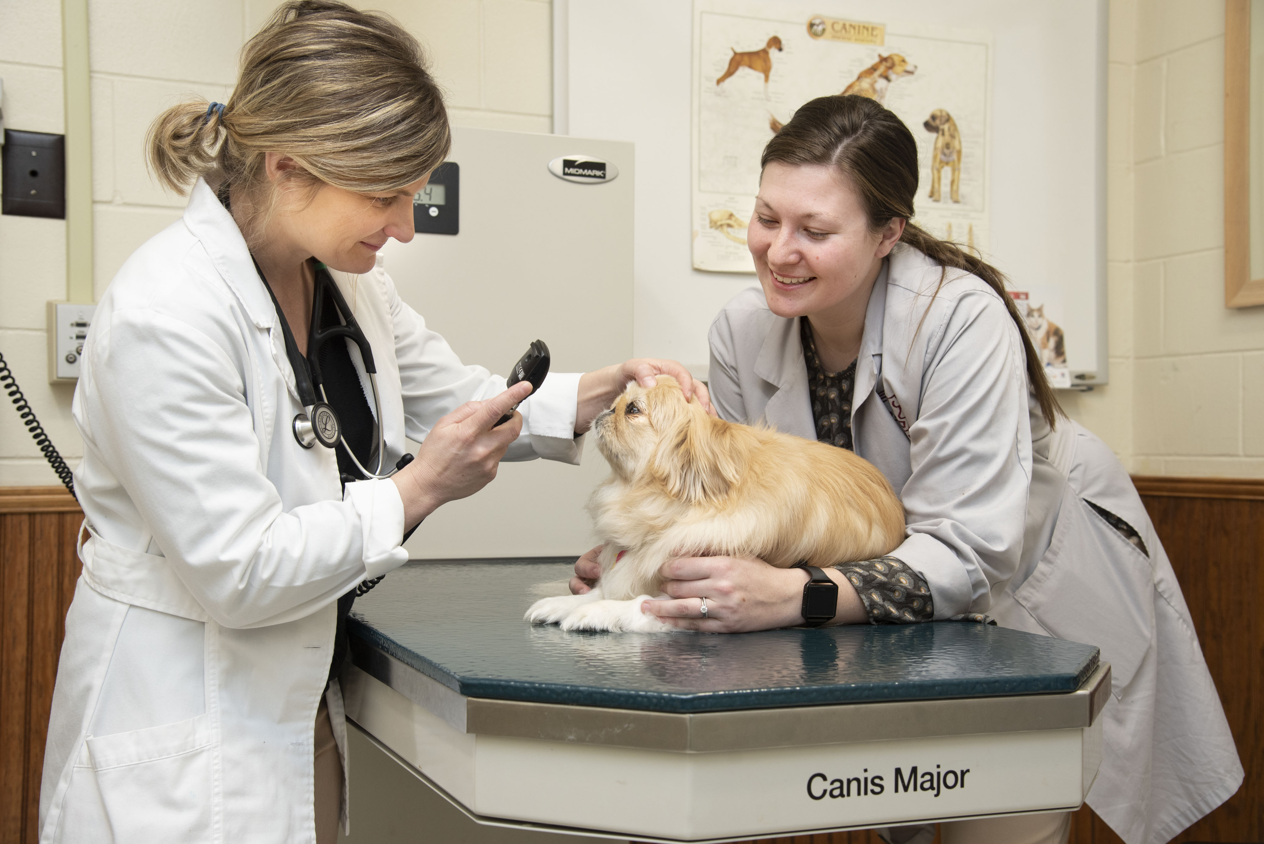 research in veterinary science and medicine